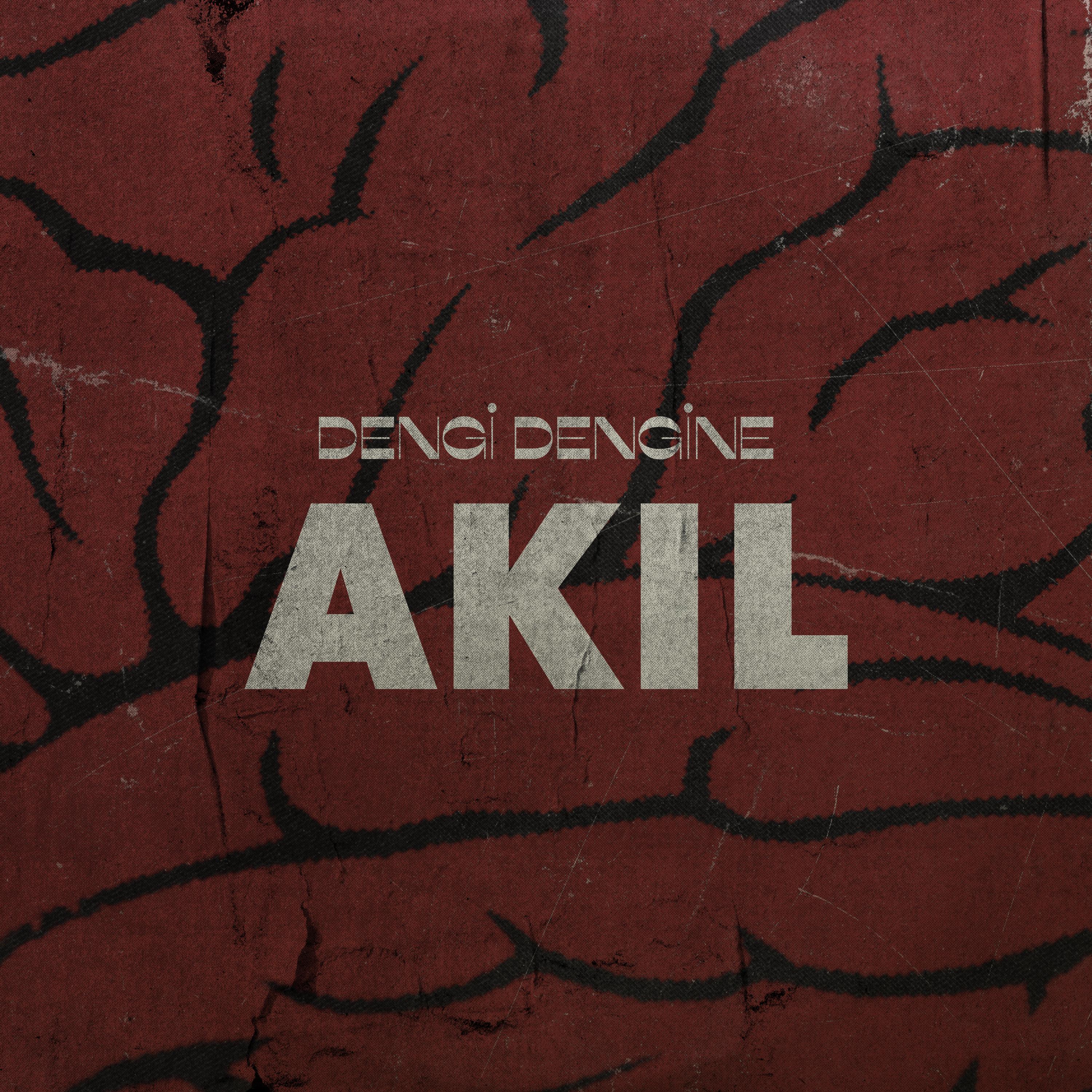 Akıl